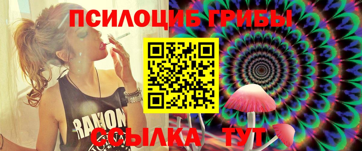 Псилоцибиновые грибы GOLDEN TEACHER Севастополь