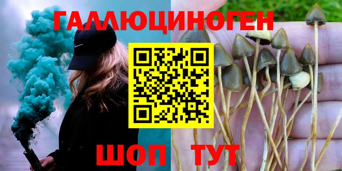 Галлюциногенные грибы MAGIC MUSHROOMS  Галлюциногенные грибы мухоморы  Севастополь  Вход с VPN 